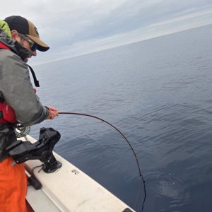 @clarkman having one go full send to the abyss