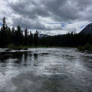 IMG_8557.jpeg