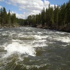 Media 'HenrysFK-whitewater.webp' in category 'Example category'