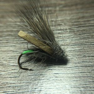 caddis.JPG