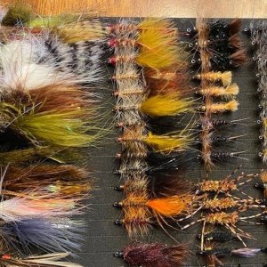 24 Dozen MT Flies(2).jpg