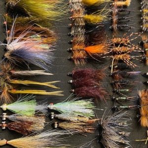 24 Dozen MT Flies(3).jpg