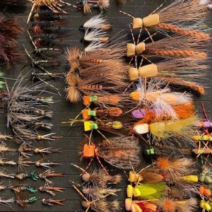 24 Dozen MT Flies(5).jpg