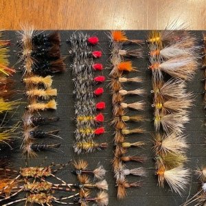 24 Dozen MT Flies(7).jpg