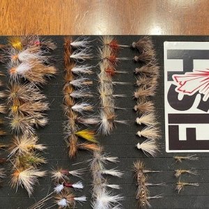 24 Dozen MT Flies(8).jpg