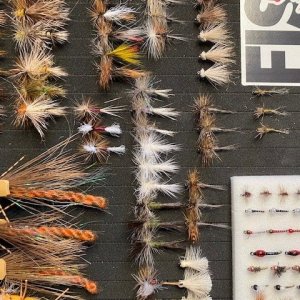 24 Dozen MT Flies(9).jpg