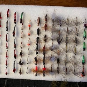 24 Dozen MT Flies(11).jpg