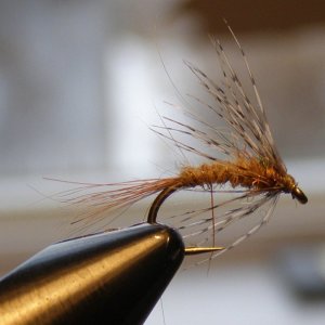 Squirrel Tail Nymph.JPG