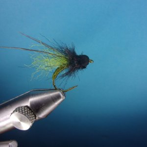 BH Olive Caddis Pupa nn.JPG