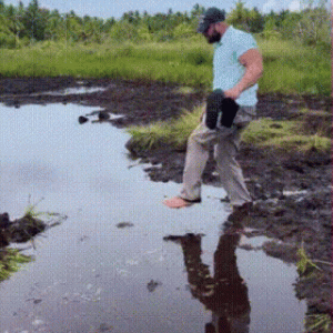 splash-puddle.gif