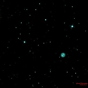 M 97 Owl + M 108 Galaxy-PS-Bright copy.jpg