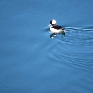 IMG_3983.JPG