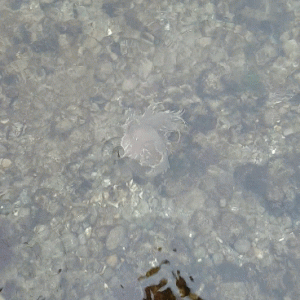 20230312_151834_1.gif