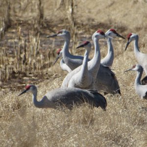 IMG_4098.JPG