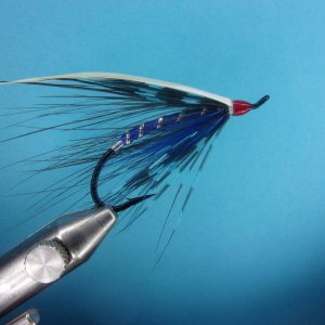 vargas spey 2.JPG