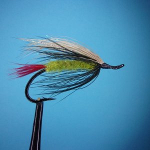 chehalis caddis.JPG