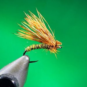 CADDIS DRY 2.jpg