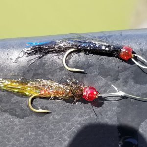 20230516_leeches.jpg