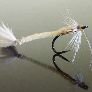 Bonefish Worm.jpg