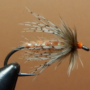 October Caddis Wet Fly 2 1080.JPG