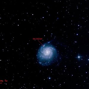 M 101 w SN-PS-labelled copy.jpg