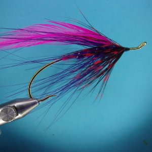 purplegoosespey2.JPG