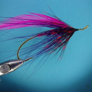 purplegoosespey2.JPG