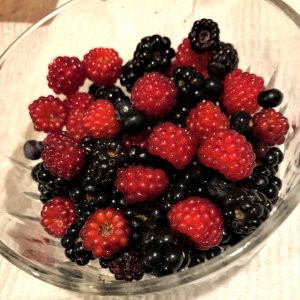 berry bowl.jpg