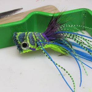 seahawk popper 2.JPG