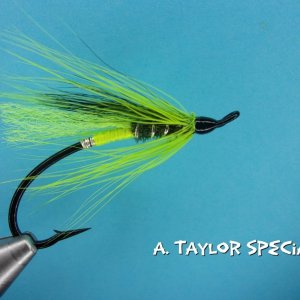 A. Taylor Special.jpg