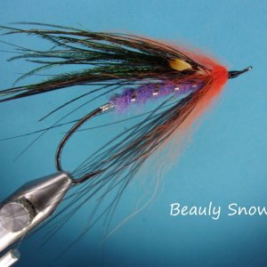 Beauly Snow Fly2.jpg