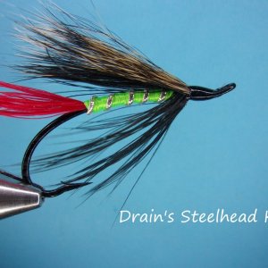 Drain's Steelhead Kelly.jpg