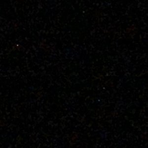 IMG_3550.jpeg