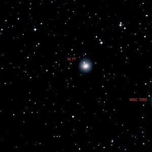 M77 - PS-labelled-cropped copy.jpg