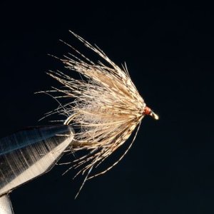 bakers-hole-soft-hackle.jpg