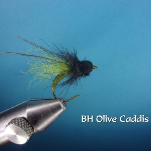 BH Olive Caddis Pupa.jpg