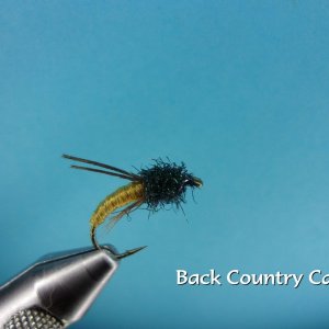 Back Country Caddis.jpg