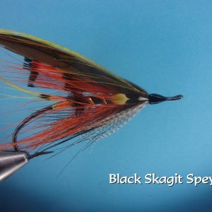 Black Skagit Spey.jpg