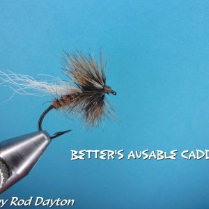 Better's Ausable Caddis.jpg