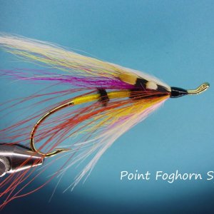 Point Foghorn Spey.jpg