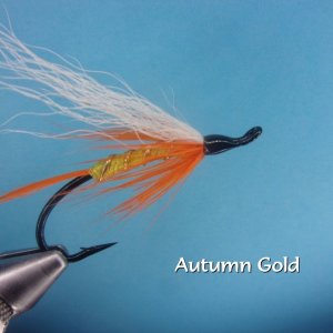 Autumn Gold.jpg