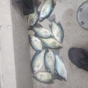 1st 2024 crappie.jpg