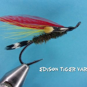 Edison Tiger Variant.jpg
