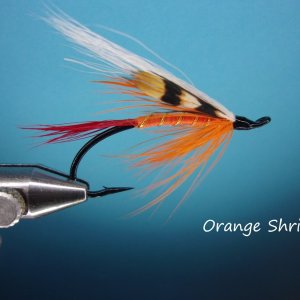 Orange Shrimp.jpg