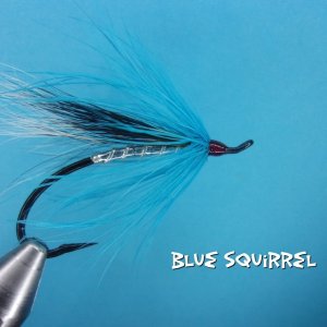 Blue Squirrel.jpg