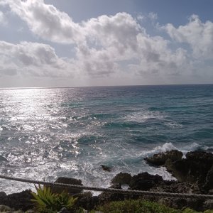 IMG_20240111_104049.jpg