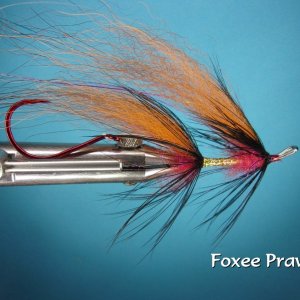 Foxee Prawn.jpg