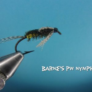 Barne's PW Nymph.jpg