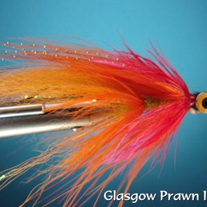 Glasgow Prawn Intrueder.jpg