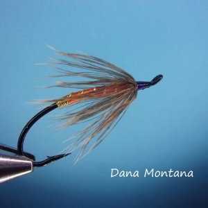 Dana Montana.jpg